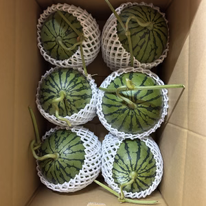 早いもん勝ち!!基準(2㌔)以下6玉入 