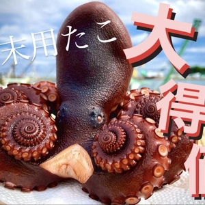 【年末用たこ大特価祭！！】東京湾、秘伝の茹で汁で茹でた地たこ