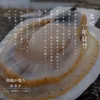 これが本物！漁師が喰うホタテ【５㎏】ヘラ付