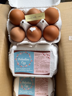 みんなの投稿の画像