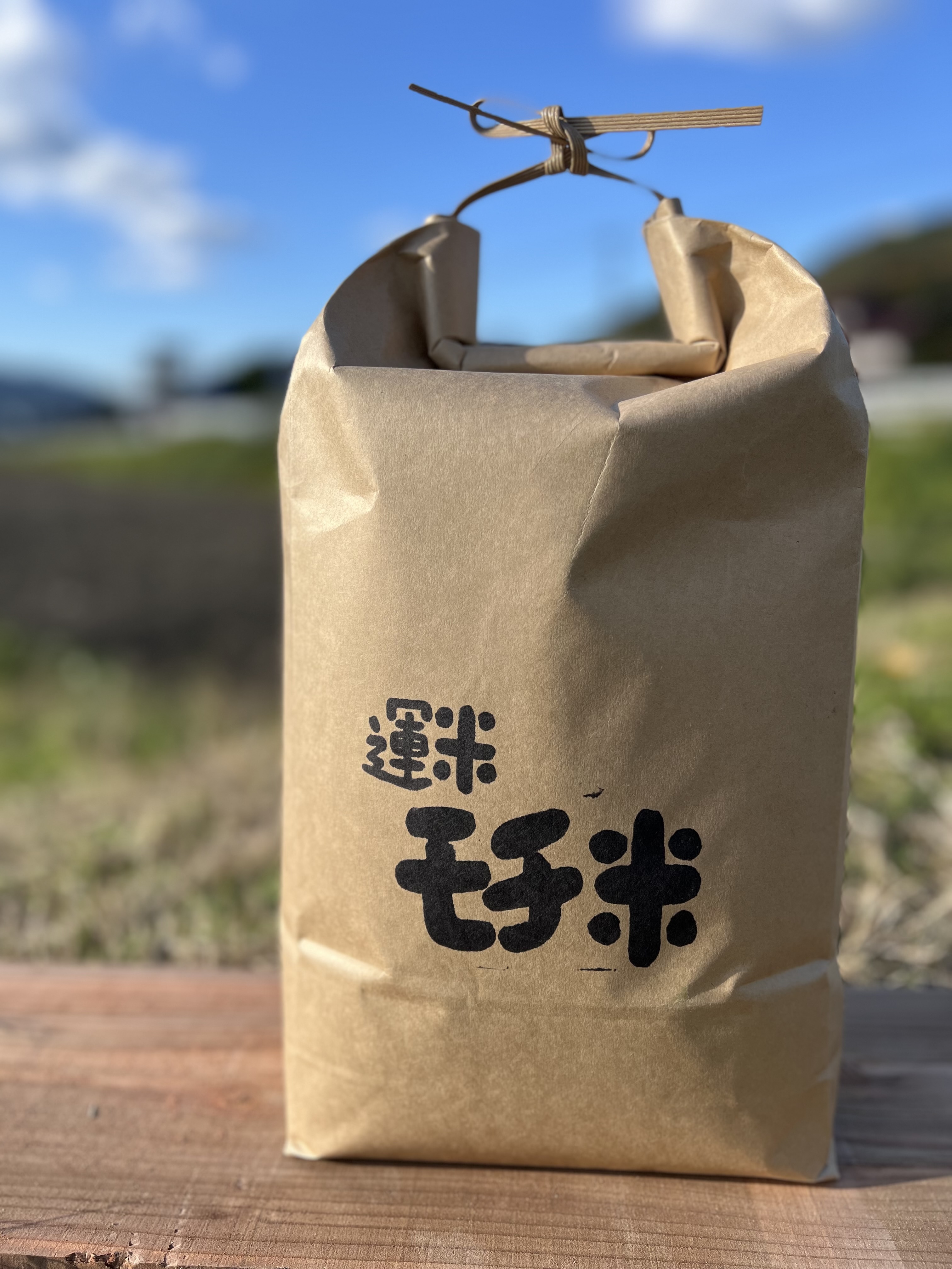 玄米）もち米10キロ農薬不使用2025年産｜餅・もち米の商品詳細