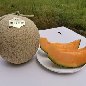 【大玉】北海道夕張郡産赤肉メロン・キング種・とろける舌触り！