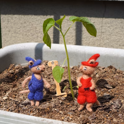 みんなの投稿の画像