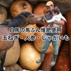 有機(玉ねぎ・じゃがいも・人参) 2.5kg  農薬化学肥料不使用　カレー用野菜
