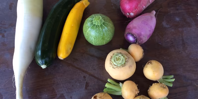 ワクワクすることを続けるために、利益を考える。