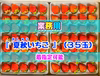 【35玉/着指定可能】青森県下北産　夏秋いちご「すずあかね/赤い妖精」【業務用】