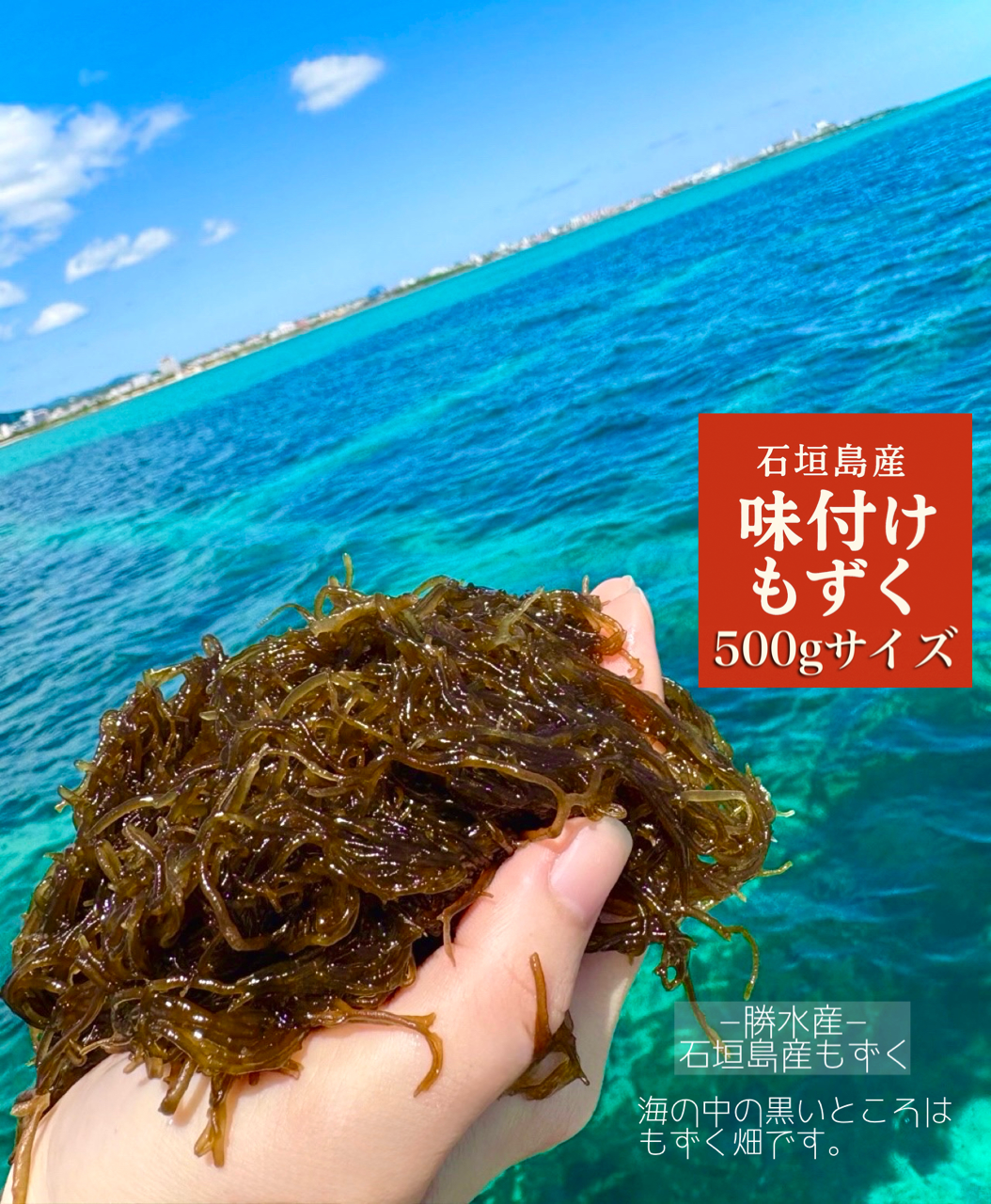 ☆沖縄県石垣島産もずく【味付け500g】中サイズ｜水産加工品の商品詳細
