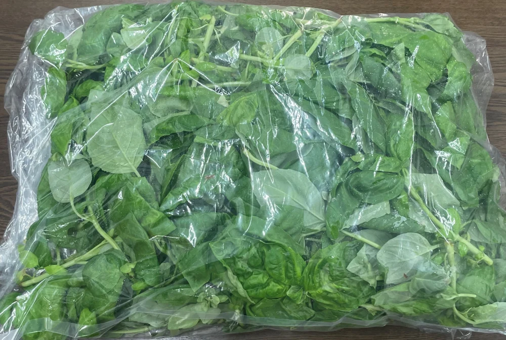 無農薬スイートバジル 2kg 円高還元 - 野菜