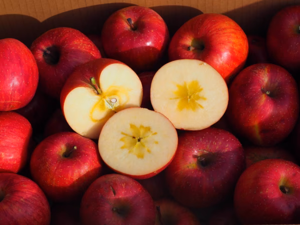 １日１個まるかじり【小玉サイズ】完熟サンふじ  18〜22玉