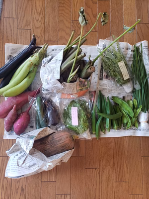 みんなの投稿の画像