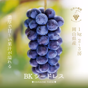 B-1 花笑み農園　岡山の『BKシードレス』1kg（２~３房） 9月中旬～　