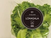 菌数管理野菜　LOHASALAフリルレタスセット　(6個入/合計600g個包装)