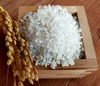 (京都産）自然米５キロ　品種（滋賀旭27号）