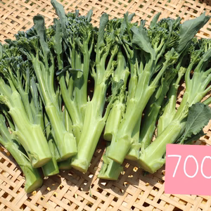 簡単調理！茎ブロッコリー　from 名水の里　秦野