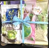 【お試しボックス】八女茶　煎茶と水出しティーバッグ