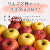 【送料無料】山形県産 サンふじ シナノゴールド詰め合わせ3kg (7～9玉入）