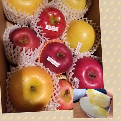 みんなの投稿の画像