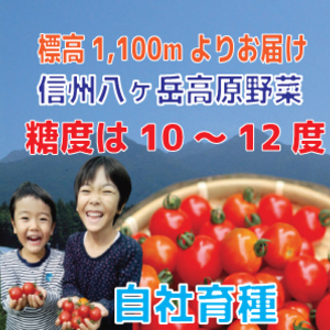 株 ゲブラナガトヨ八ヶ岳 森田和彦さん 農家漁師から産地直送の通販 ポケットマルシェ