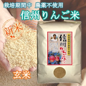 《玄米》信州りんご米 農薬不使用米 こしひかり 令和5年産