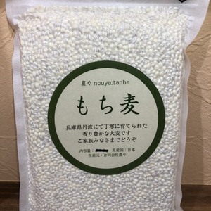 丹波産もち麦【キラリモチ】