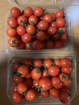 みんなの投稿の画像