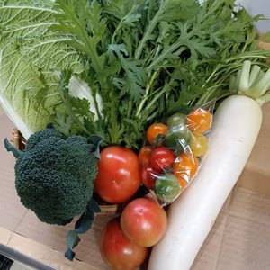 松宮ファームの秋冬京野菜　５点セット！！