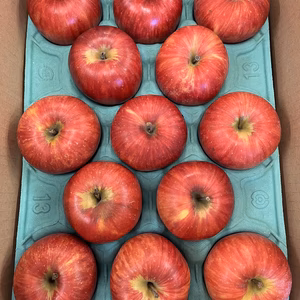 小玉シナノスイート3キロ