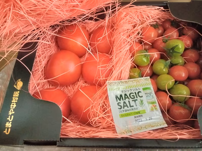 みんなの投稿の画像