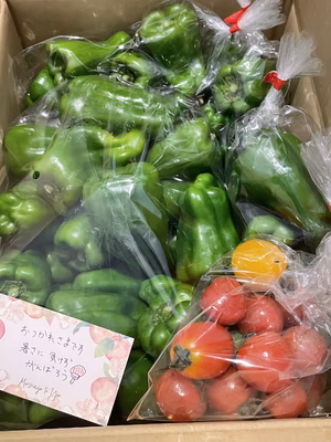 みんなの投稿の画像