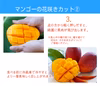 訳あり【樹上完熟】燦々マンゴー（沖縄県産）2.0kg～10kg