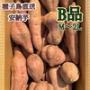 【絶品】種子島産 安納芋 B品（M〜2Lサイズ）｜aimo農園