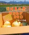 淡路島新玉ねぎ3キロ