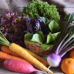 多品目栽培農家のユニーク旬野菜つめあわせセット