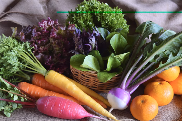 多品目栽培農家のユニーク旬野菜つめあわせセット