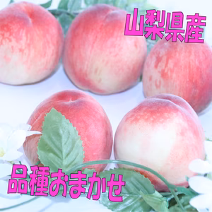 【家庭用】ちいさい傷や小ぶりの桃　品種おまかせ♪とっても甘くてジューシー❣️