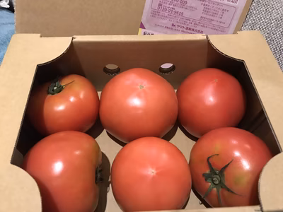 みんなの投稿の画像