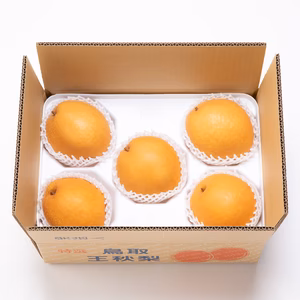(2箱ｾｯﾄ)随時発送中！王秋(おうしゅう)梨2.5キロ箱(5-6玉入)*2箱