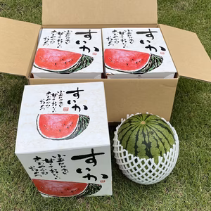 期間限定【ミツバチで受粉させた】小玉スイカ(2玉1組)