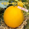 すぐ食べれるメロン！　イエローキング