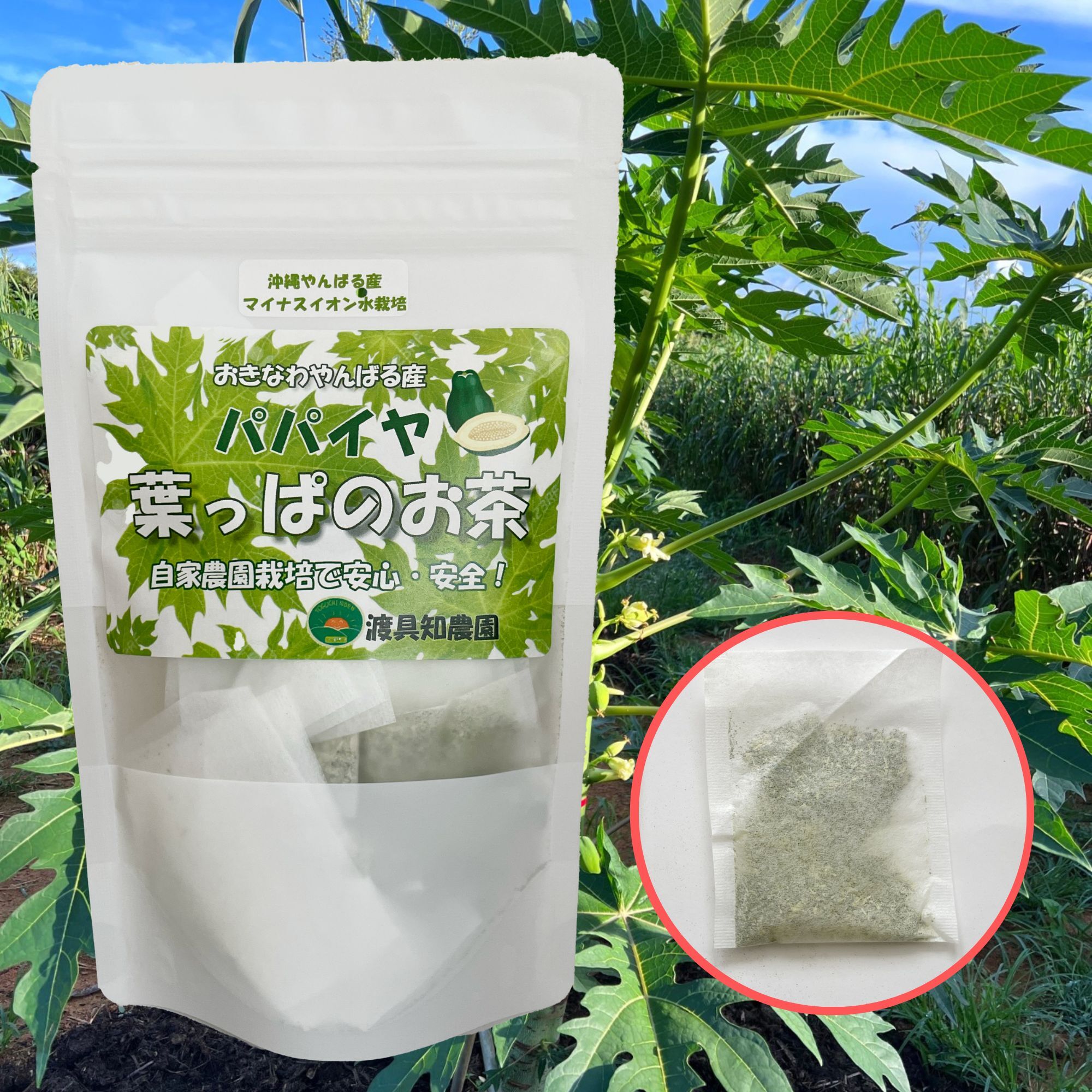 送料込】パパイヤ葉っぱのお茶｜沖縄産（無農薬）｜その他のお茶の商品