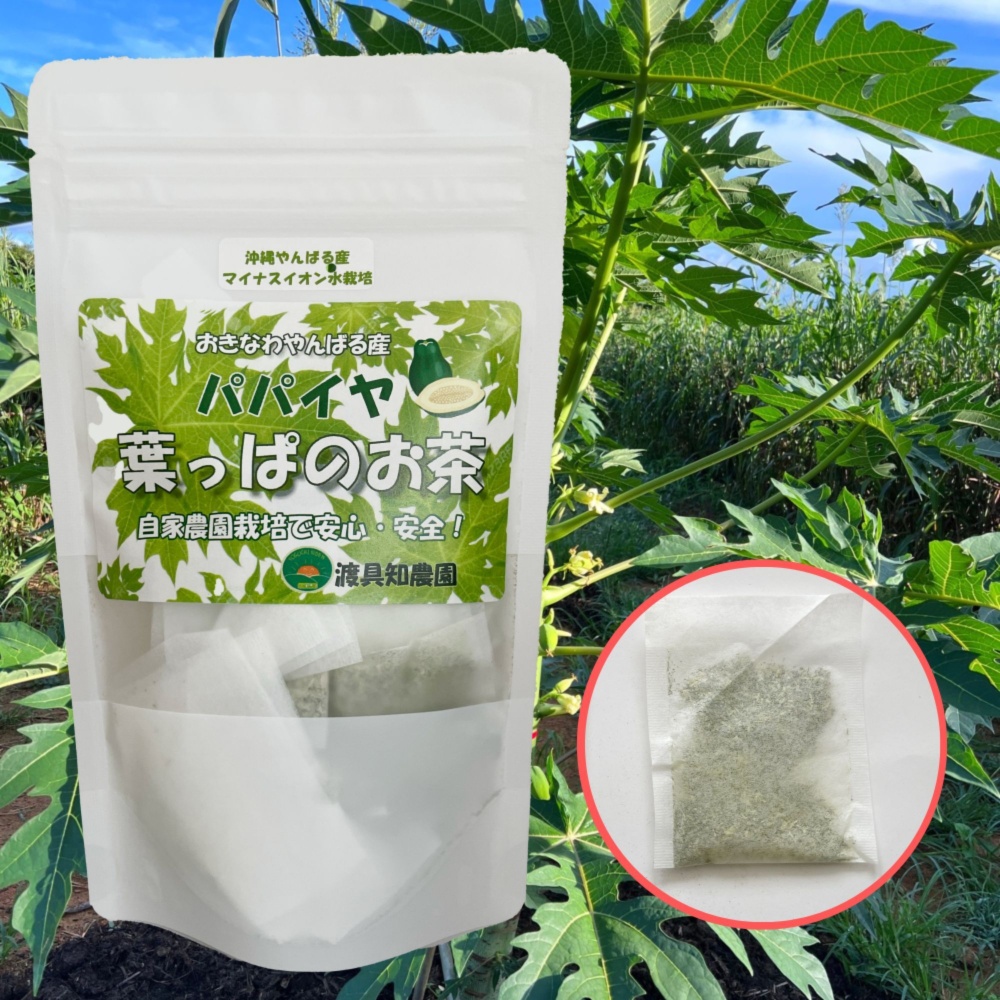 送料込】パパイヤ葉っぱのお茶｜沖縄産（無農薬）｜その他のお茶