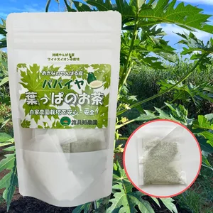 【送料込】パパイヤ葉っぱのお茶｜沖縄産（無農薬）