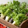 野菜9品！ 栄養満点 根付きフレッシュ野菜セット(300081)