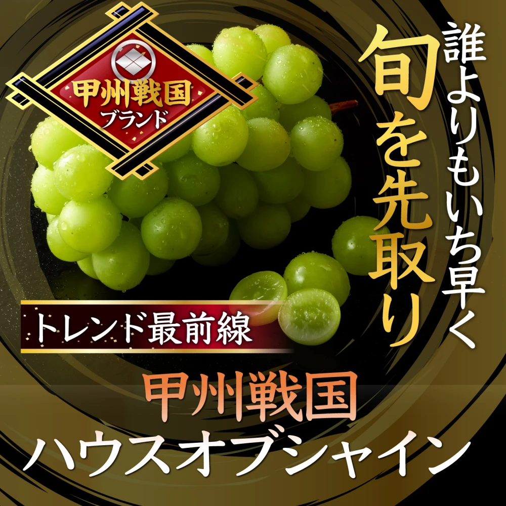 【父の日ギフト】甲州戦国ハウスオブシャイン圧倒的糖度×圧倒的大粒感シャイン
