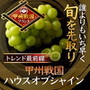 甲州戦国ハウスオブシャイン圧倒的糖度×圧倒的大粒感シャイン【2026年6月】
