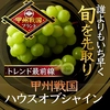 【父の日ギフト】甲州戦国ハウスオブシャイン圧倒的糖度×圧倒的大粒感シャイン