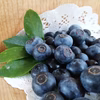 ブルーベリー