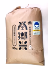 令和6年新米！特別栽培米 新潟県五泉産コシヒカリ「南郷米」精米30kg