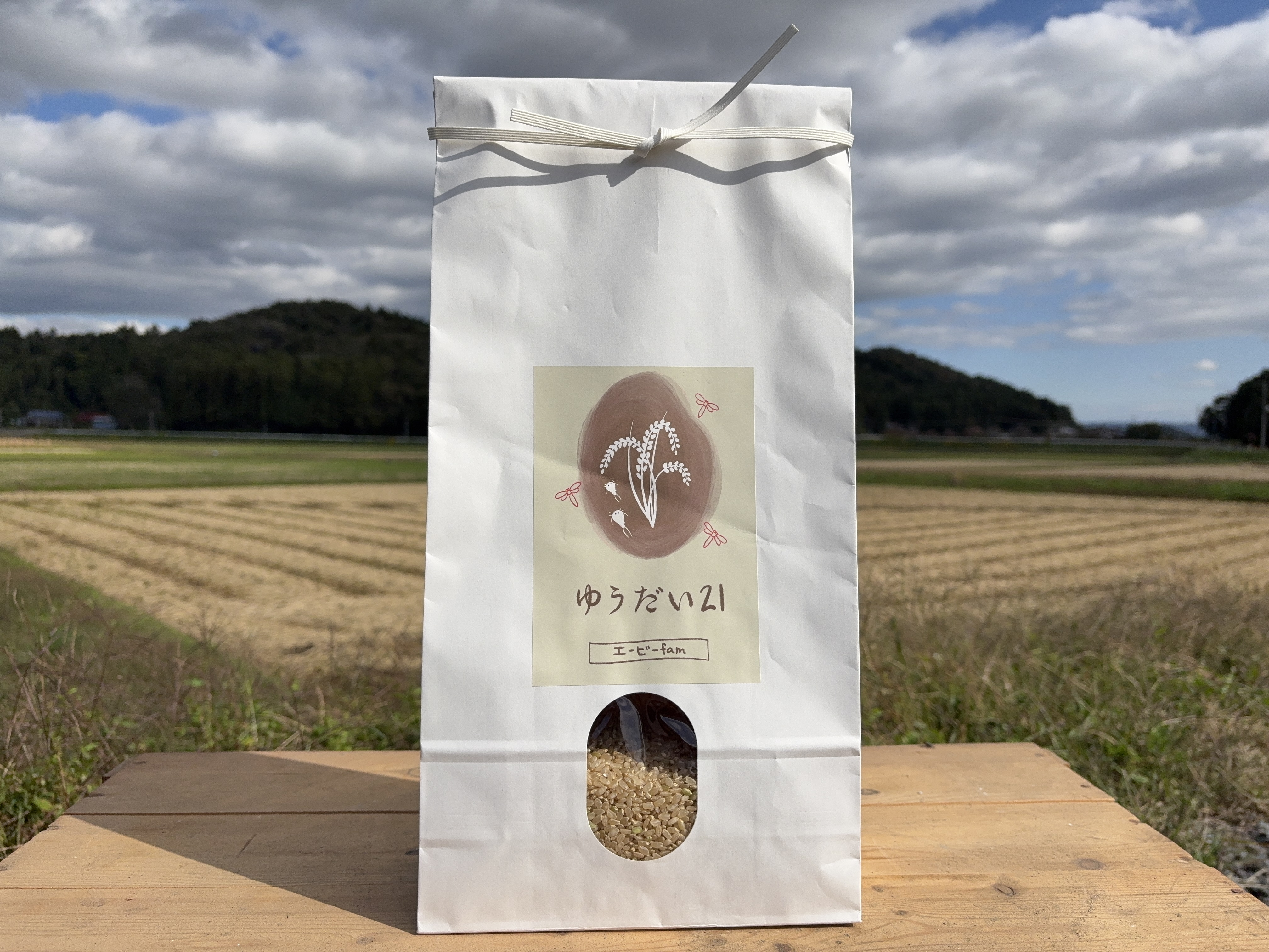 令和7年新米[環境保全米]ゆうだい21(白米) 白米5キロ