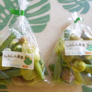 幻の食材　ねぎ坊主　葱の花の蕾　2袋　　メール便